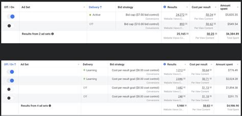 7 Fixes to Resolve Facebook Ad Campaigns Active But Budget .